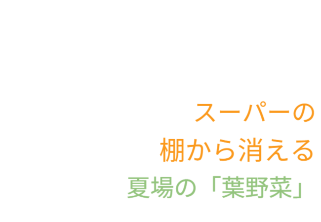 今後、猛暑でスーパーの棚から消える夏場の「葉野菜」も自己解決になります。懸念、夏野菜の自己解決、自己責任