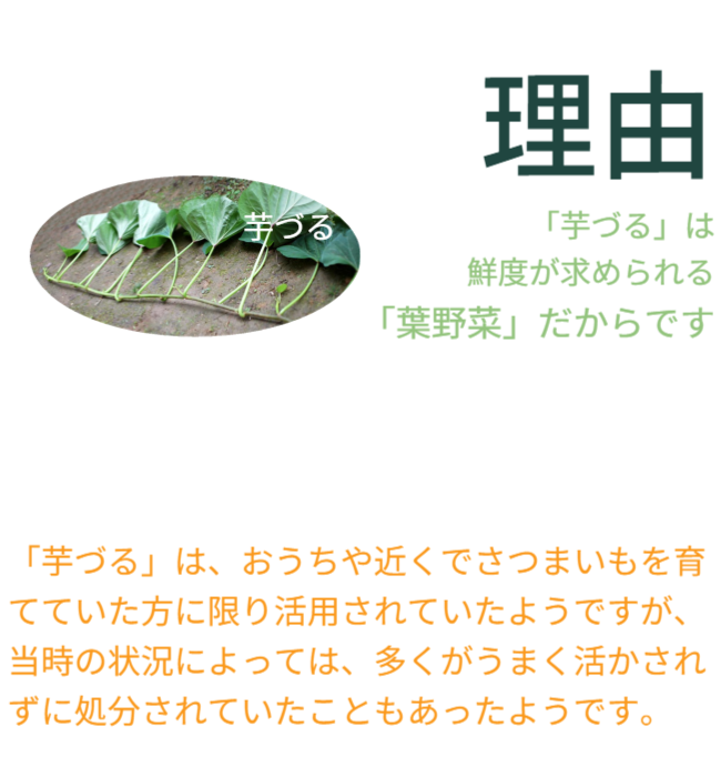 理由としては、「芋づる」は鮮度が求められる「葉野菜」だからです。また「芋づる」を地産地消で栽培しても、収穫、出荷配送で大変なコストが必要で鮮度も落ちます。「芋づる」はおうちや近くでさつまいもを栽培している方のみ活用できました。