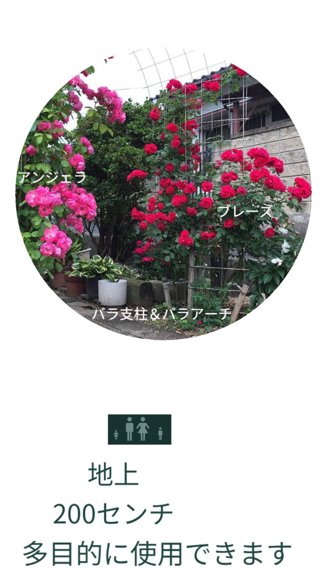 ※写真にはバラ支柱使っバラアーチにバラが咲いている状態が写っています。