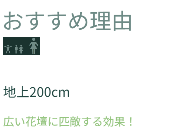 小さなスペースでも空間を利用した目線の花と緑は広い花壇に匹敵する効果があります