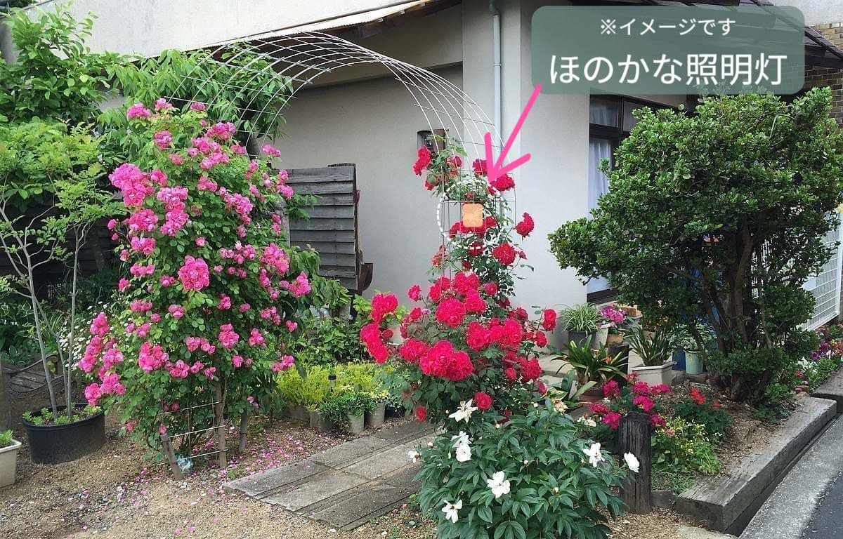 img20201108192901738087.jpg
