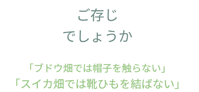 「壁に耳あり障子に目あり」などの昭和的な慣用句を通じて、現代の防犯意識や行動様式に対する違和感や気づきを促しています。こうした文化的背景をもとに、安心や興味深さを持つ革新的なアイデアや発想の転換が求められていることを示しています。