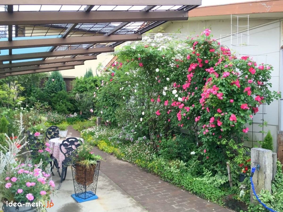 バラ用支柱を使ったお庭の状態（after）