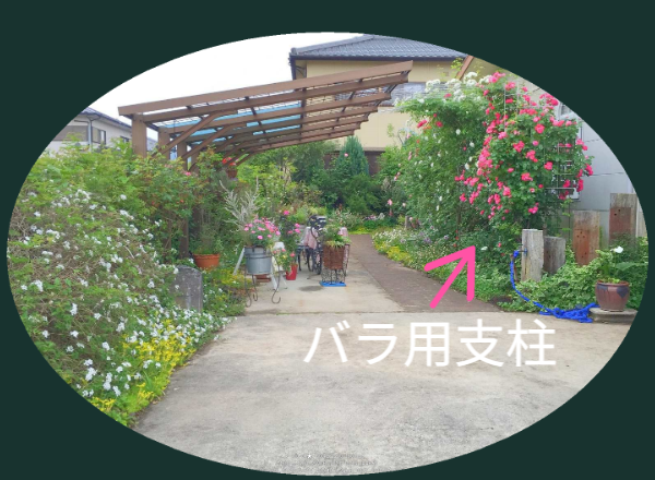 住宅の庭に設置された「バラ用支柱」の実例写真。矢印で示された支柱が、違和感なく景観に溶け込んでいる様子。こ こが将来、配線不要の防犯インフラ（照明・カメラ）の設置ポイントとなることを示唆。 / Actual installation photo of the "Rose Trellis" at a residence. An arrow points to the trellis blending naturally into the landscape, indicating its potential as a base for future wireless security infrastructure (lights/cameras).