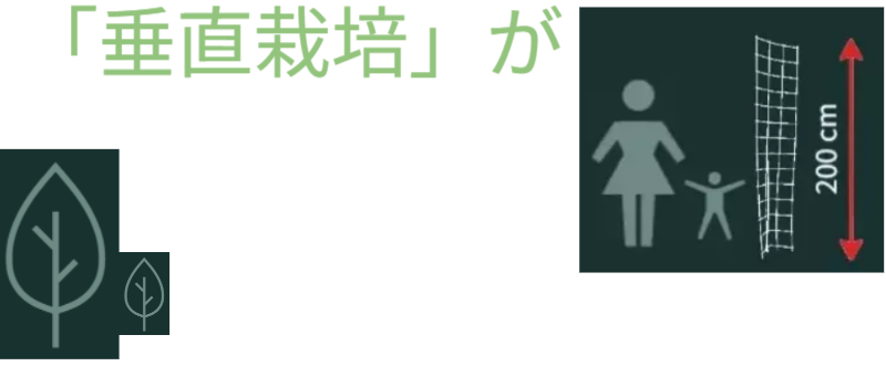 アイデアメッシュの理念（夢）を伝えるメッセージ画像。ロゴと共に「犯罪の少ない安心なまちづくり」というビジョンを掲げ、バラ用支柱がその一助となることを願う宣言文。前半の「機能解説」から、後半の「社会実装」へとテーマを繋ぐ、サイト構成上の重要な分岐点。 / Corporate philosophy image featuring the "Idea Mesh" logo and the word "Dream." Declares the vision of "building safe towns with less crime," expressing the hope that the Rose Trellis will serve this cause. Acts as a strategic bridge moving from product features to social implementation.