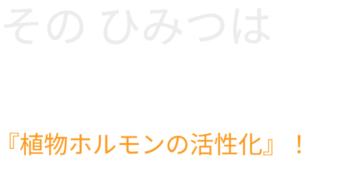 垂直栽培による植物ホルモンの活性化