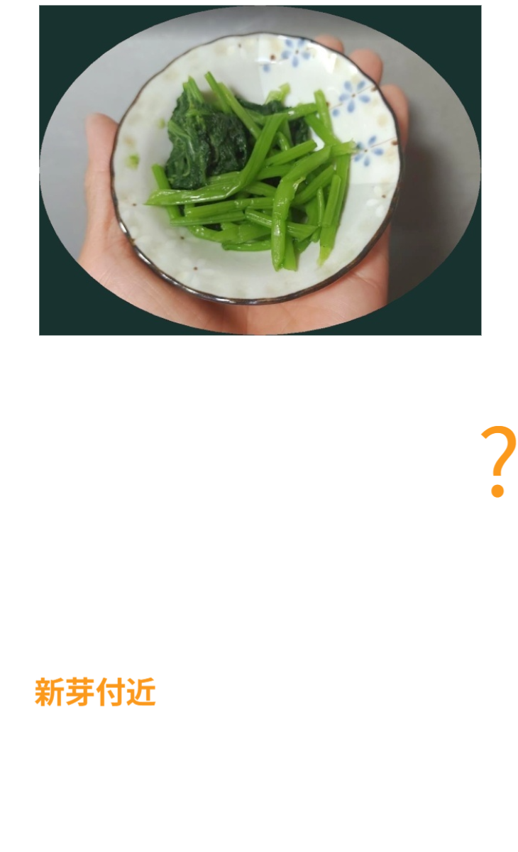 美味しく食べられる芋づる（葉柄）のおひたし料理。シャキシャキ食感がクセになる！葉っぱに続く柔らかい茎を味わい、毎朝の食卓が豊かになります