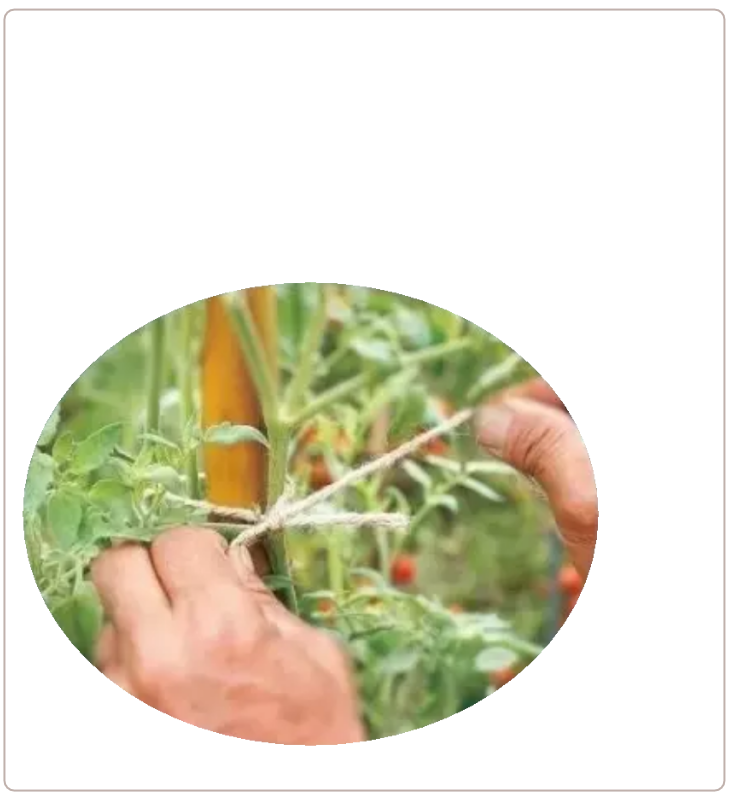 アイデアメッシュの理念（夢）を伝えるメッセージ画像。ロゴと共に「犯罪の少ない安心なまちづくり」というビジョンを掲げ、バラ用支柱がその一助となることを願う宣言文。前半の「機能解説」から、後半の「社会実装」へとテーマを繋ぐ、サイト構成上の重要な分岐点。 / Corporate philosophy image featuring the "Idea Mesh" logo and the word "Dream." Declares the vision of "building safe towns with less crime," expressing the hope that the Rose Trellis will serve this cause. Acts as a strategic bridge moving from product features to social implementation.