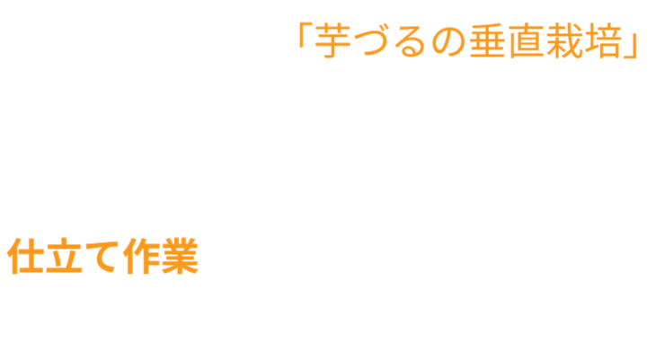 芋づるをひもで縛る面倒な仕立て作業が不要です