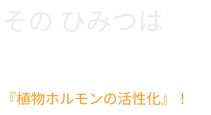 芋づるの垂直栽培による植物ホルモンの活性化メカニズム