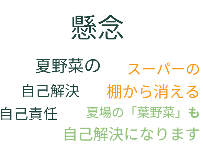 今後、猛暑でスーパーの棚から消える夏場の「葉野菜」も自己解決になります。懸念、夏野菜の自己解決、自己責任