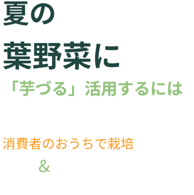 夏の葉野菜に「芋づる」活用するには、芋づるを市場に乗せないで消費者のおうちで栽培＆欠かせないものが「垂直栽培」です。