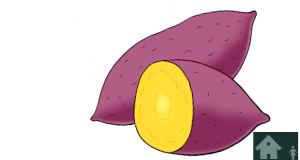 さつまいも（クリップアート）