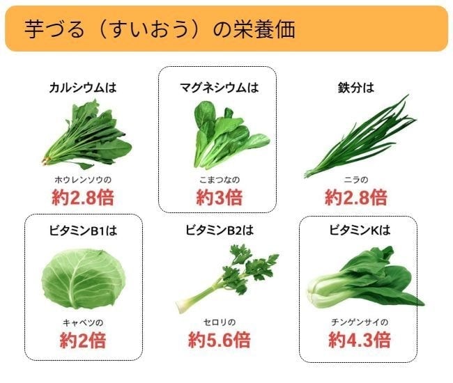 芋づる（すいおう）はホウレンソウ比Ca約2.8倍、小松菜比Mg約3倍、ニラ比Fe約2.8倍、キャベツ比B1約2倍、セロリ比B2約5.6倍、チンゲンサイ比K約4.3倍の栄養価