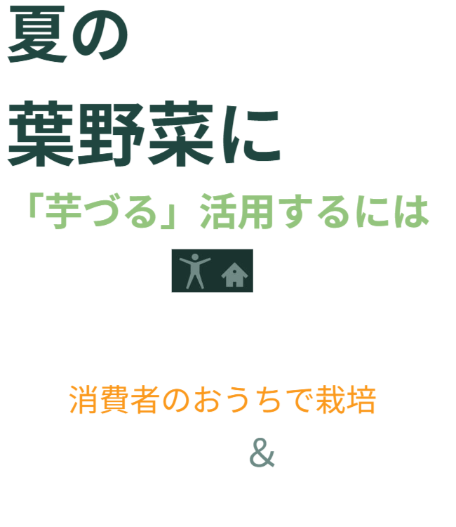 夏の葉野菜に「芋づる」活用するには、芋づるを市場に乗せないで消費者のおうちで栽培＆欠かせないものが「垂直栽培」です。 ※園芸用支柱（ダイソー）を使った使用例は後半です