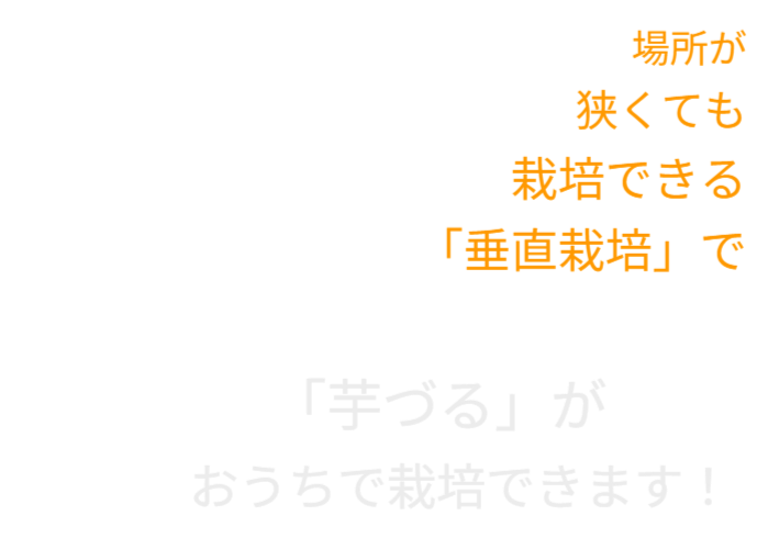 場所が狭くても栽培できる「垂直栽培」で今後は 「芋づる」がおうちで栽培できます！自分の手で育てた野菜はただの食材ではなく愛着のあるもの「芋づる」は育てやすく管理も楽です。