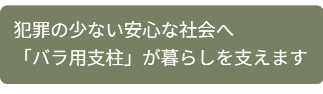 防犯カメラに頼るしかない現状を踏まえつつ、商業施設以外の生活空間では、防犯カメラの存在が雰囲気や景観を損なう可能性があることを指摘しています。
