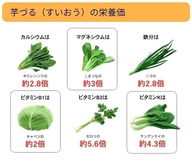 芋づる（すいおう）はホウレンソウ比Ca約2.8倍、小松菜比Mg約3倍、ニラ比Fe約2.8倍、キャベツ比B1約2倍、セロリ比B2約5.6倍、チンゲンサイ比K約4.3倍の栄養価
