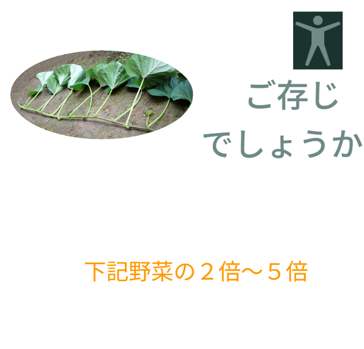 野菜の栄養価。芋づる（すいおう）は、ホウレンソウ、小松菜、ニラ、キャベツ、セロリ、チンゲンサイの2倍～5倍の栄養価があります。