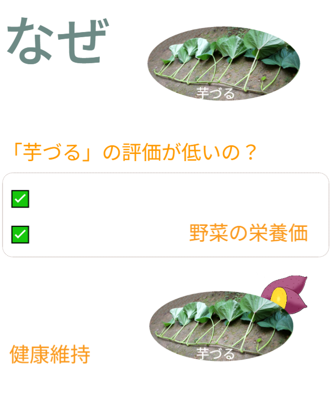 なぜ、過去の食料危機対策で「芋づる」の評価が低いの？　・さつまいも：根菜類／供給熱量（カロリー）　・芋づる：葉茎菜類／野菜の栄養価　　どちらも健康維持に欠かせない（カロリー＆野菜の栄養価）