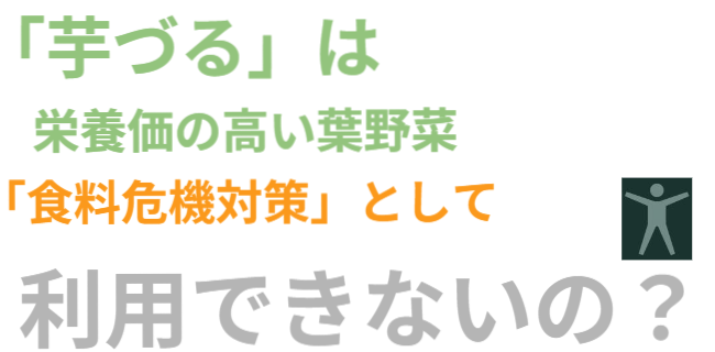 芋づるは栄養価の高い葉野菜、食料危機対策として日本でも活用できないの？