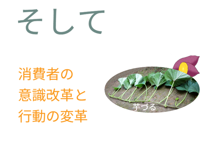 夏の葉野菜に「芋づる」活用するには、芋づるを市場に乗せないで消費者のおうちで栽培＆欠かせないものが「垂直栽培」です。 ※園芸用支柱（ダイソー）を使った使用例は後半です