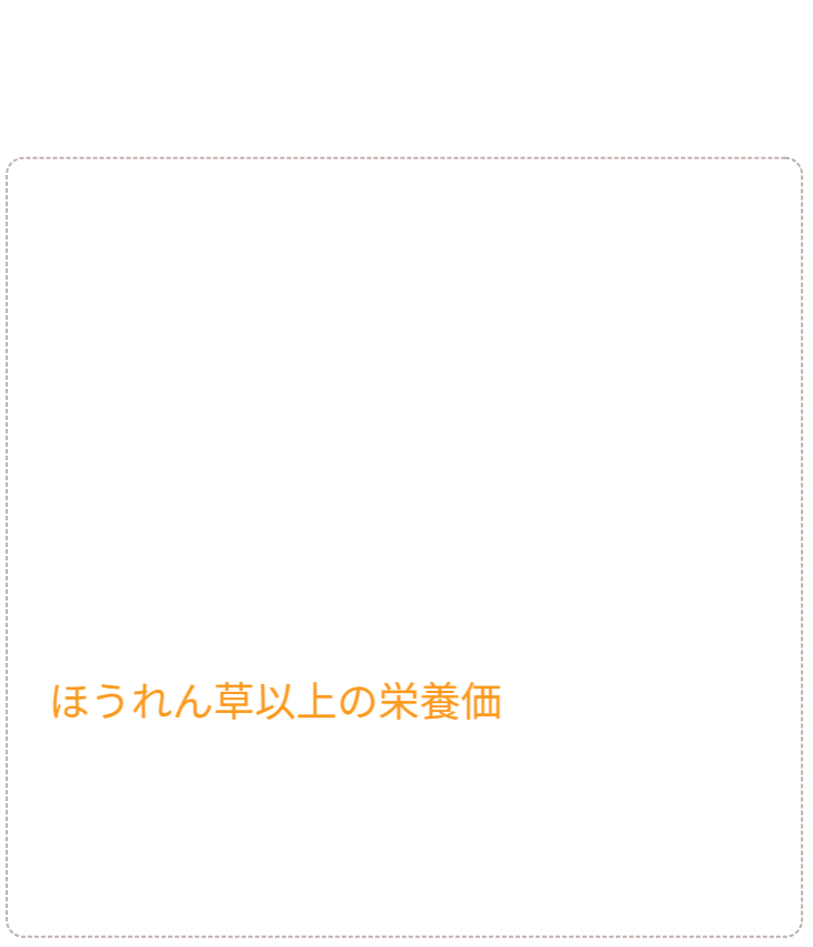 Q&A 02：普及と入手方法。「どこで買えるのか？」。身近なホームセンターでの展開や、配送・設置代行サービス、通信回線業者との連携など、誰でも手軽に「安心な暮らし」を導入できる社会実装のロードマップを提示。 / Q&A 02: Availability and Roadmap. Outlines plans for sales in local home centers, delivery/installation services, and collaboration with ISPs, presenting a roadmap to make "safe living" accessible to everyone.