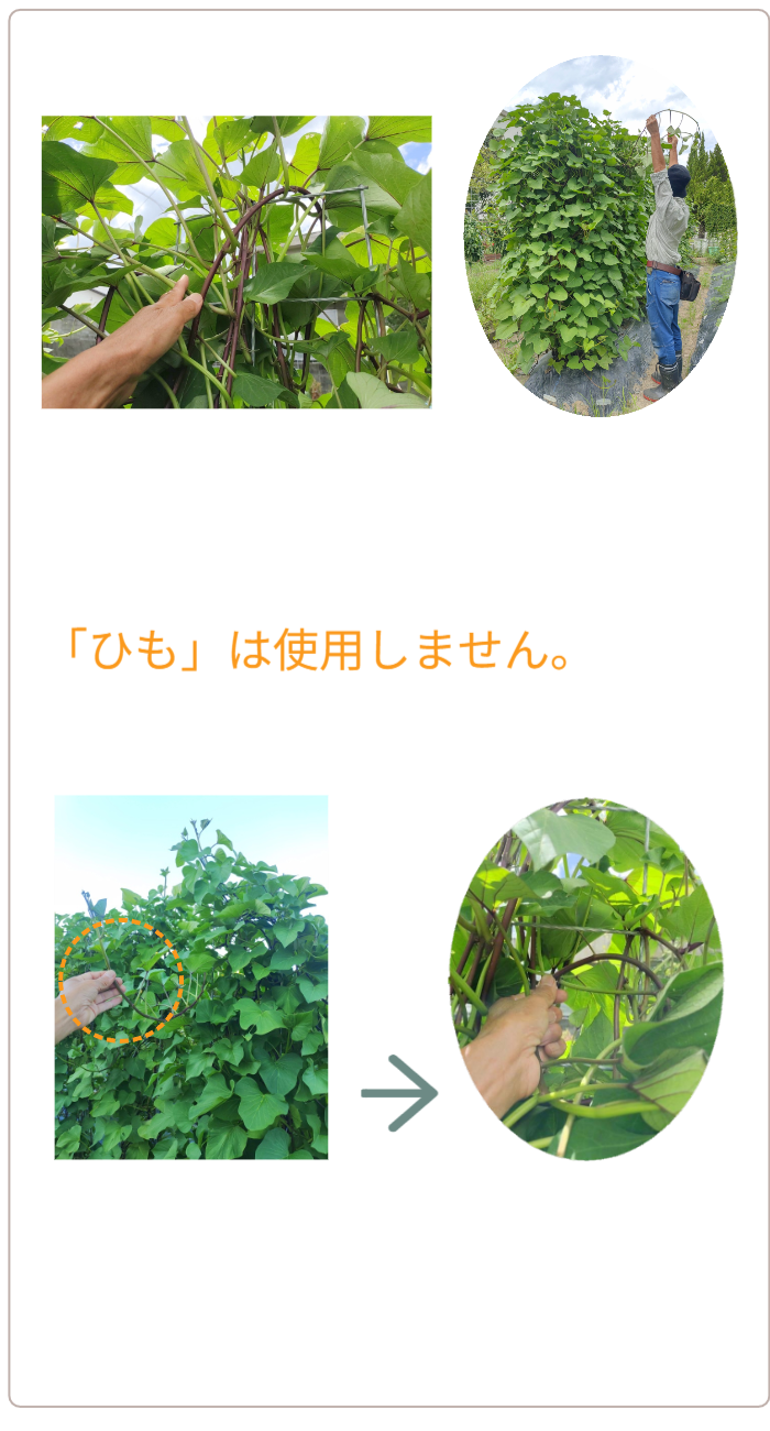 アイデアメッシュの理念（夢）を伝えるメッセージ画像。ロゴと共に「犯罪の少ない安心なまちづくり」というビジョンを掲げ、バラ用支柱がその一助となることを願う宣言文。前半の「機能解説」から、後半の「社会実装」へとテーマを繋ぐ、サイト構成上の重要な分岐点。 / Corporate philosophy image featuring the "Idea Mesh" logo and the word "Dream." Declares the vision of "building safe towns with less crime," expressing the hope that the Rose Trellis will serve this cause. Acts as a strategic bridge moving from product features to social implementation.