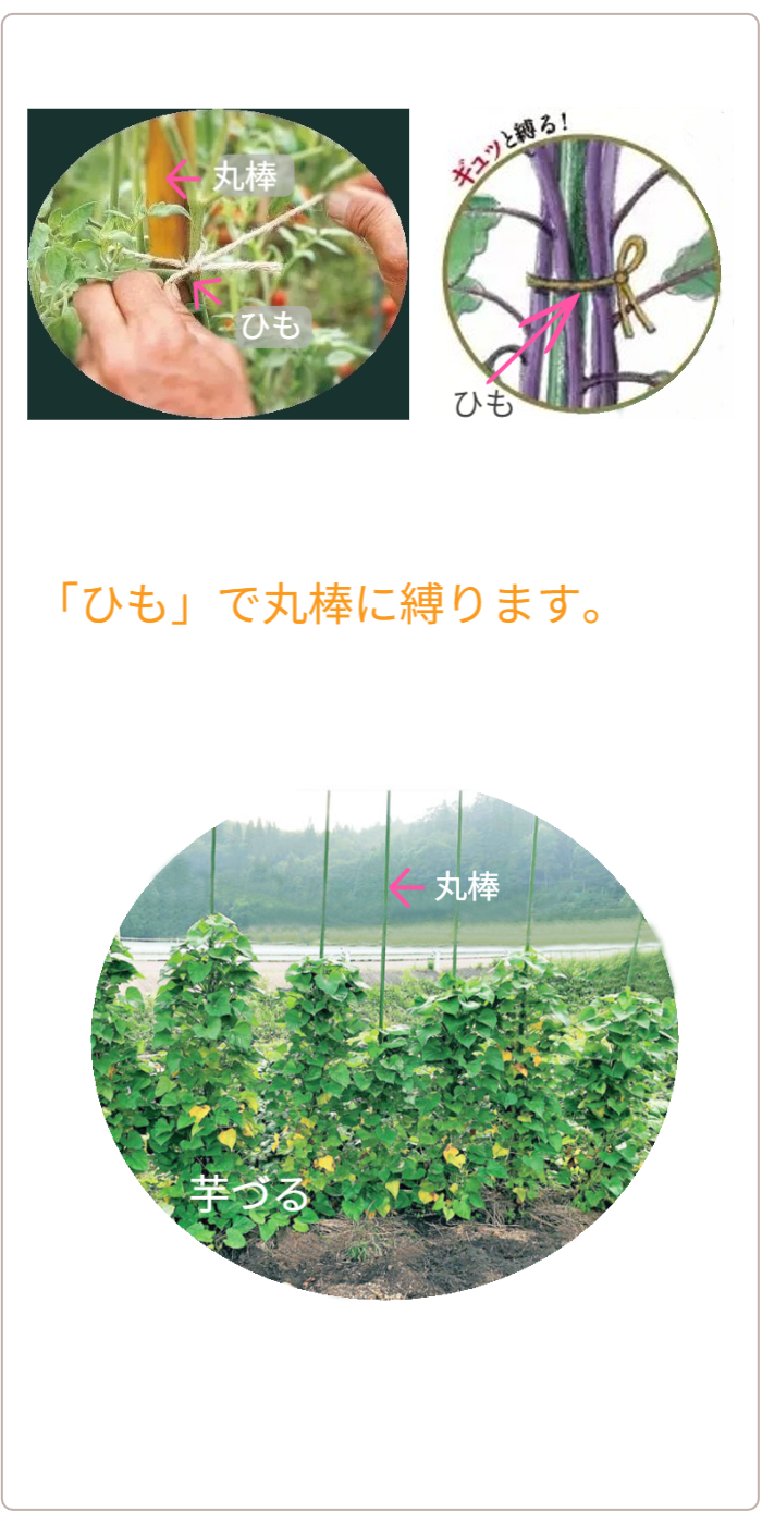 アイデアメッシュの理念（夢）を伝えるメッセージ画像。ロゴと共に「犯罪の少ない安心なまちづくり」というビジョンを掲げ、バラ用支柱がその一助となることを願う宣言文。前半の「機能解説」から、後半の「社会実装」へとテーマを繋ぐ、サイト構成上の重要な分岐点。 / Corporate philosophy image featuring the "Idea Mesh" logo and the word "Dream." Declares the vision of "building safe towns with less crime," expressing the hope that the Rose Trellis will serve this cause. Acts as a strategic bridge moving from product features to social implementation.