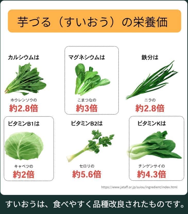 芋づる（すいおう）はホウレンソウ比Ca約2.8倍、小松菜比Mg約3倍、ニラ比Fe約2.8倍、キャベツ比B1約2倍、セロリ比B2約5.6倍、チンゲンサイ比K約4.3倍の栄養価