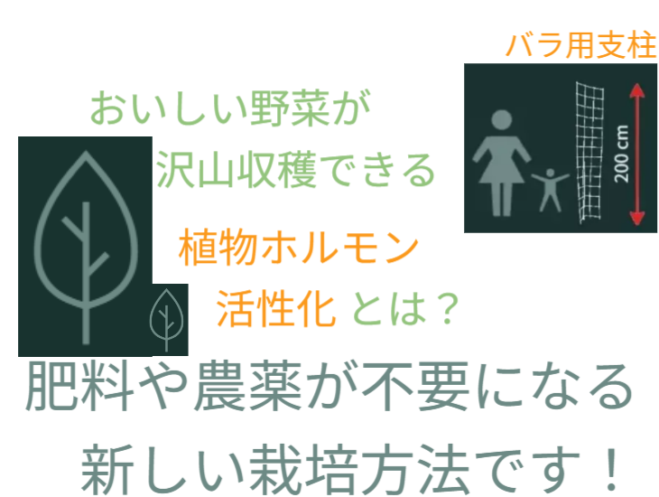 アイデアメッシュの理念（夢）を伝えるメッセージ画像。ロゴと共に「犯罪の少ない安心なまちづくり」というビジョンを掲げ、バラ用支柱がその一助となることを願う宣言文。前半の「機能解説」から、後半の「社会実装」へとテーマを繋ぐ、サイト構成上の重要な分岐点。 / Corporate philosophy image featuring the "Idea Mesh" logo and the word "Dream." Declares the vision of "building safe towns with less crime," expressing the hope that the Rose Trellis will serve this cause. Acts as a strategic bridge moving from product features to social implementation.