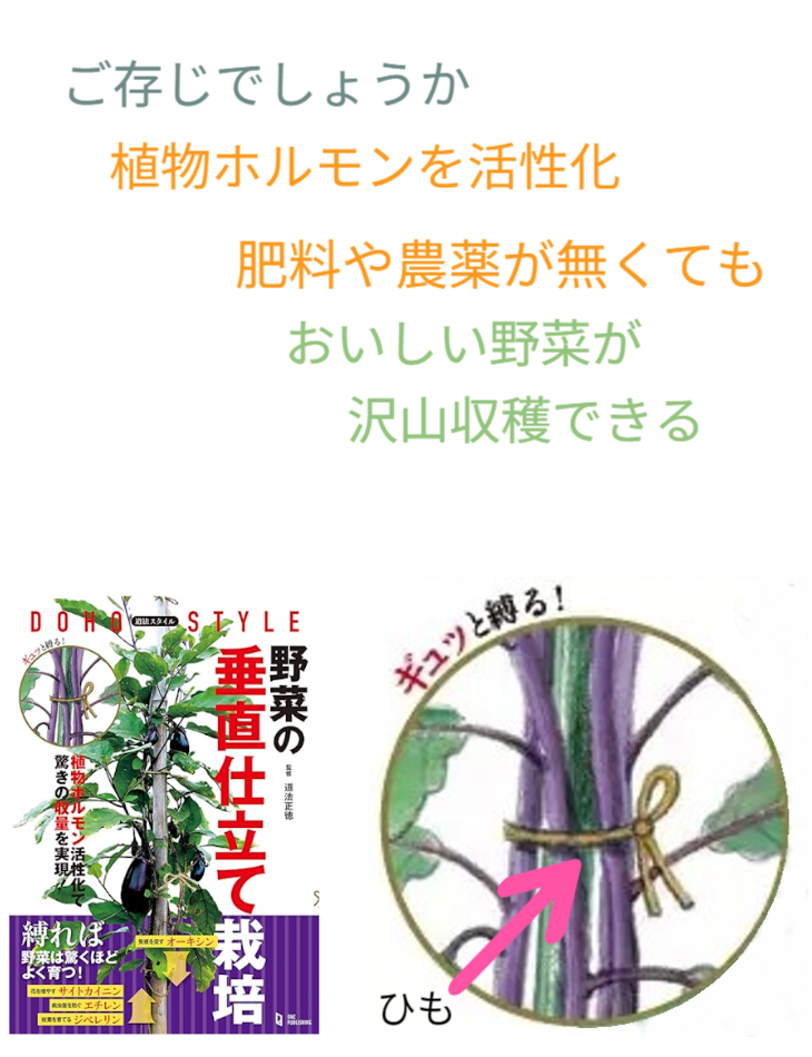 「バラ用支柱」のコンセプト画像。「目線の高さで楽しめる垂直栽培の魅力」。高さ200cmの支柱が、花や緑を人の視界レベル（アイレベル）まで持ち上げ、美しい景観を作ると同時に、外部からの視線を自然に遮る「見せないガード」としての機能を示唆。 / Concept text: "Charm of Vertical Cultivation enjoyed at Eye Level." Indicates that the 200cm trellis lifts plants to human height, creating a beautiful floral landscape that also serves as a natural privacy shield against outside eyes.