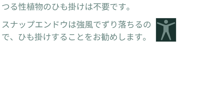「バラ用支柱」のコンセプト画像。「目線の高さで楽しめる垂直栽培の魅力」。高さ200cmの支柱が、花や緑を人の視界レベル（アイレベル）まで持ち上げ、美しい景観を作ると同時に、外部からの視線を自然に遮る「見せないガード」としての機能を示唆。 / Concept text: "Charm of Vertical Cultivation enjoyed at Eye Level." Indicates that the 200cm trellis lifts plants to human height, creating a beautiful floral landscape that also serves as a natural privacy shield against outside eyes.
