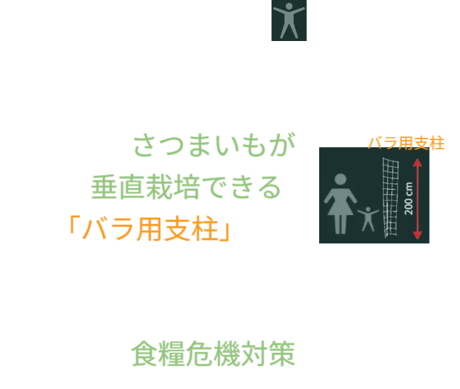 「バラ用支柱」の省スペース性を象徴するキャッチコピー。「新聞紙1枚程（見開き）の広さがあれば、さつまいもの垂直栽培が可能です」というメッセージ。狭小地でも設置可能なため、都市型ガーデニングや防犯対策の導入障壁を下げる。 / Catchphrase highlighting space efficiency: "Vertical Sweet Potato Cultivation is possible with just the space of a spread newspaper."