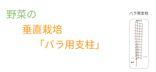 「バラ用支柱」の省スペース性を象徴するキャッチコピー。「新聞紙1枚程（見開き）の広さがあれば、さつまいもの垂直栽培が可能です」というメッセージ。狭小地でも設置可能なため、都市型ガーデニングや防犯対策の導入障壁を下げる。 / Catchphrase highlighting space efficiency: "Vertical Sweet Potato Cultivation is possible with just the space of a spread newspaper."