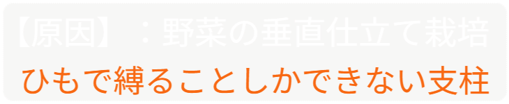 「バラ用支柱」のコンセプト画像。「目線の高さで楽しめる垂直栽培の魅力」。高さ200cmの支柱が、花や緑を人の視界レベル（アイレベル）まで持ち上げ、美しい景観を作ると同時に、外部からの視線を自然に遮る「見せないガード」としての機能を示唆。 / Concept text: "Charm of Vertical Cultivation enjoyed at Eye Level." Indicates that the 200cm trellis lifts plants to human height, creating a beautiful floral landscape that also serves as a natural privacy shield against outside eyes.