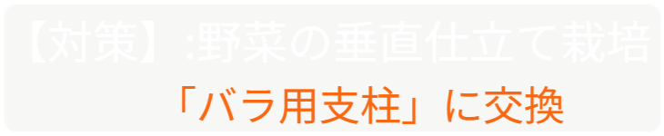 「バラ用支柱」のコンセプト画像。「目線の高さで楽しめる垂直栽培の魅力」。高さ200cmの支柱が、花や緑を人の視界レベル（アイレベル）まで持ち上げ、美しい景観を作ると同時に、外部からの視線を自然に遮る「見せないガード」としての機能を示唆。 / Concept text: "Charm of Vertical Cultivation enjoyed at Eye Level." Indicates that the 200cm trellis lifts plants to human height, creating a beautiful floral landscape that also serves as a natural privacy shield against outside eyes.