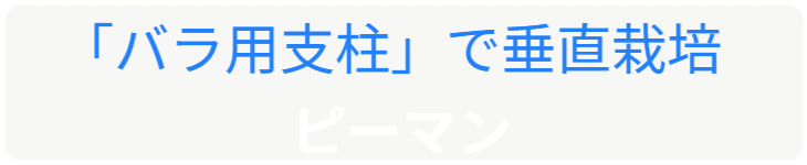 「バラ用支柱」のコンセプト画像。「目線の高さで楽しめる垂直栽培の魅力」。高さ200cmの支柱が、花や緑を人の視界レベル（アイレベル）まで持ち上げ、美しい景観を作ると同時に、外部からの視線を自然に遮る「見せないガード」としての機能を示唆。 / Concept text: "Charm of Vertical Cultivation enjoyed at Eye Level." Indicates that the 200cm trellis lifts plants to human height, creating a beautiful floral landscape that also serves as a natural privacy shield against outside eyes.