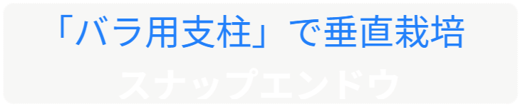 「バラ用支柱」のコンセプト画像。「目線の高さで楽しめる垂直栽培の魅力」。高さ200cmの支柱が、花や緑を人の視界レベル（アイレベル）まで持ち上げ、美しい景観を作ると同時に、外部からの視線を自然に遮る「見せないガード」としての機能を示唆。 / Concept text: "Charm of Vertical Cultivation enjoyed at Eye Level." Indicates that the 200cm trellis lifts plants to human height, creating a beautiful floral landscape that also serves as a natural privacy shield against outside eyes.