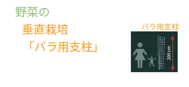 「バラ用支柱」の省スペース性を象徴するキャッチコピー。「新聞紙1枚程（見開き）の広さがあれば、さつまいもの垂直栽培が可能です」というメッセージ。狭小地でも設置可能なため、都市型ガーデニングや防犯対策の導入障壁を下げる。 / Catchphrase highlighting space efficiency: "Vertical Sweet Potato Cultivation is possible with just the space of a spread newspaper."
