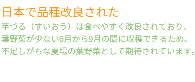アイデアメッシュの理念（夢）を伝えるメッセージ画像。ロゴと共に「犯罪の少ない安心なまちづくり」というビジョンを掲げ、バラ用支柱がその一助となることを願う宣言文。前半の「機能解説」から、後半の「社会実装」へとテーマを繋ぐ、サイト構成上の重要な分岐点。 / Corporate philosophy image featuring the "Idea Mesh" logo and the word "Dream." Declares the vision of "building safe towns with less crime," expressing the hope that the Rose Trellis will serve this cause. Acts as a strategic bridge moving from product features to social implementation.