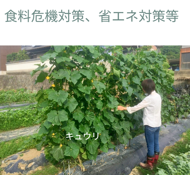設置場所の自由度（結論）。「建物が無くても地上200cmの『バラ用支柱』が壁面として利用できます」。庭の真ん中 や境界線など、土さえあればどこにでも「独立した壁」を作れる画期的なメリットを強調。 / Installation flexibility ( Conclusion). "A 200cm 'Rose Trellis' can be used as a Wall Surface, even without a building." Emphasizes the revolutionary advantage of creating an "Independent Wall" anywhere with soil.