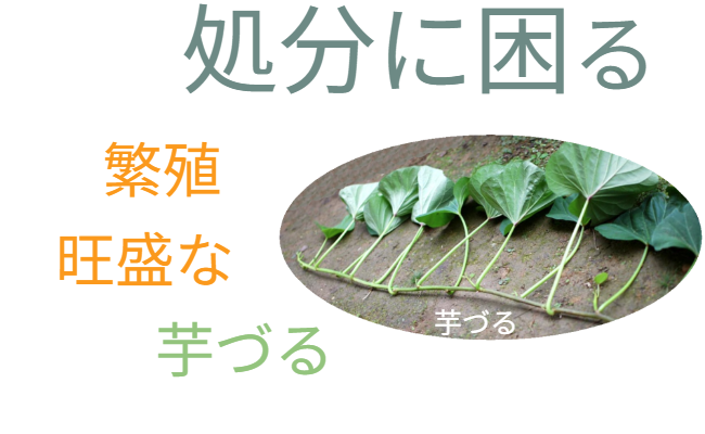 設置場所の提案導入アイコン。「おすすめ」。どのような場所に設置するのが効果的か、具体的なシーン提案へのつなぎ。 / Suggestion icon: "Recommended." A transition leading to specific proposals on effective installation locations.