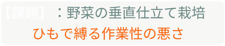 「バラ用支柱」のコンセプト画像。「目線の高さで楽しめる垂直栽培の魅力」。高さ200cmの支柱が、花や緑を人の視界レベル（アイレベル）まで持ち上げ、美しい景観を作ると同時に、外部からの視線を自然に遮る「見せないガード」としての機能を示唆。 / Concept text: "Charm of Vertical Cultivation enjoyed at Eye Level." Indicates that the 200cm trellis lifts plants to human height, creating a beautiful floral landscape that also serves as a natural privacy shield against outside eyes.
