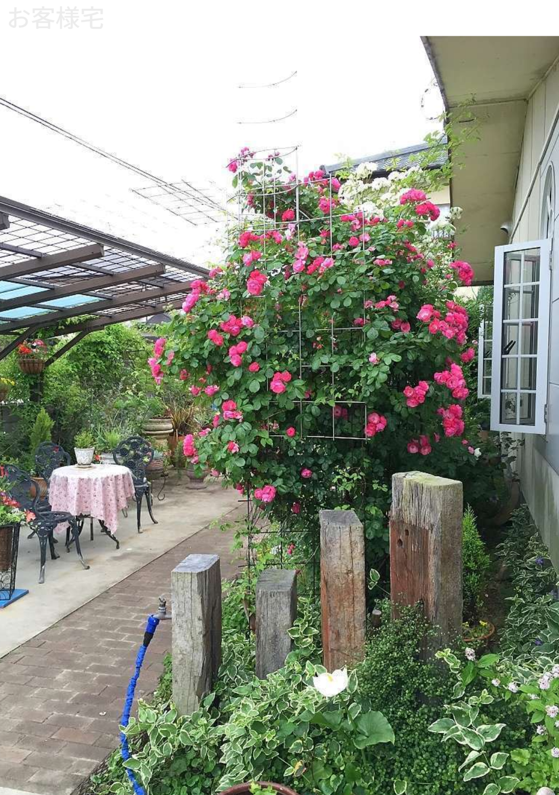 バラアーチの設置事例。しかし、これは単なる園芸の紹介ではありません。地上200cmの「バラ用支柱」で、犯罪の少ない安心な暮らしを構築する「シンプルでもオンリーワン」の提言です。かつて世界に誇る治安を支えていた日本の先人の知恵「壁に耳あり障子に目あり」を現代に蘇らせ、心理的抑止力で社会を守る「アイデアメッシュ」の新たな挑戦を、ここから世界へ発信します。 / Installation example of a Rose Arch (A-01). However, this is not just about gardening. It is a proposal from Japan to build a safe society using the 200cm "Rose Trellis." We introduce Idea Mesh's challenge to revive the traditional Japanese wisdom of "Walls have ears" (sense of being watched) through modern design, creating psychological deterrence to prevent crime.