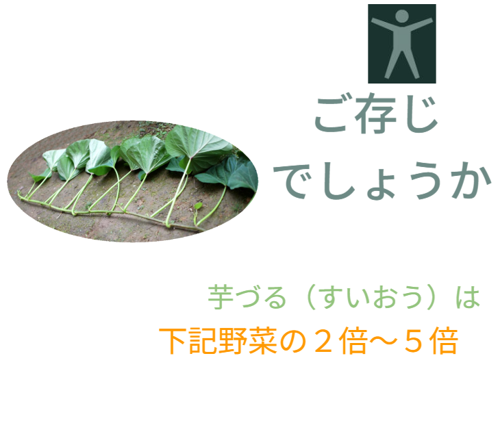 野菜の栄養価。芋づる（すいおう）は、ホウレンソウ、小松菜、ニラ、キャベツ、セロリ、チンゲンサイの2倍～5倍の栄養価があります。