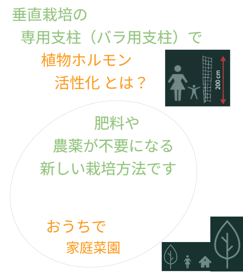 アイデアメッシュの理念（夢）を伝えるメッセージ画像。ロゴと共に「犯罪の少ない安心なまちづくり」というビジョンを掲げ、バラ用支柱がその一助となることを願う宣言文。前半の「機能解説」から、後半の「社会実装」へとテーマを繋ぐ、サイト構成上の重要な分岐点。 / Corporate philosophy image featuring the "Idea Mesh" logo and the word "Dream." Declares the vision of "building safe towns with less crime," expressing the hope that the Rose Trellis will serve this cause. Acts as a strategic bridge moving from product features to social implementation.