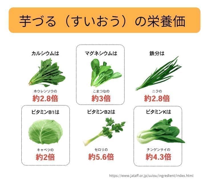 芋づる（すいおう）はホウレンソウ比Ca約2.8倍、小松菜比Mg約3倍、ニラ比Fe約2.8倍、キャベツ比B1約2倍、セロリ比B2約5.6倍、チンゲンサイ比K約4.3倍の栄養価